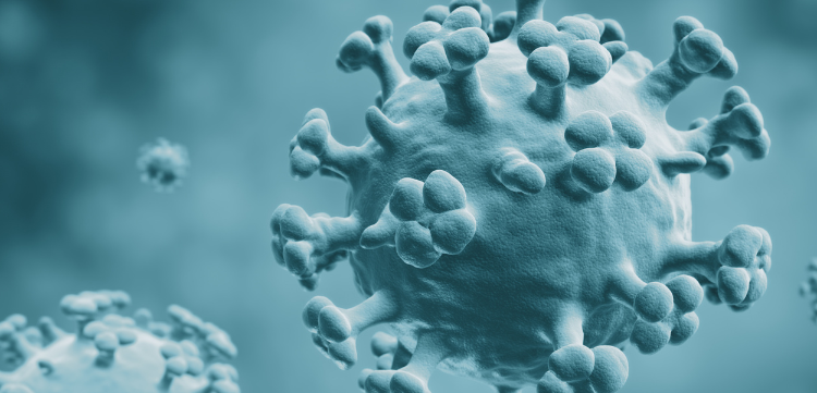 Belagavi on high alert over Guillain-Barre Syndrome and Bird Flu threats