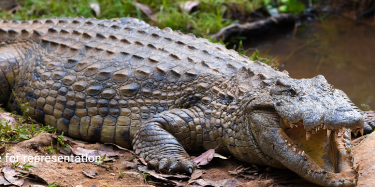Belagavi residents reject first gate ROB, demand underpass alternative