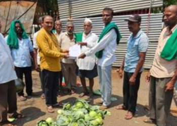 Belagavi farmers protest cabbage price crash, submit memo to DC
