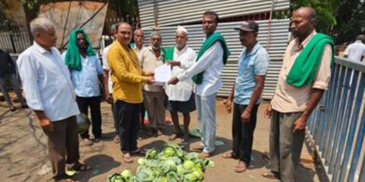 Belagavi farmers protest cabbage price crash, submit memo to DC