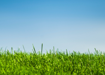 Belagavi Among the Cleanest: Top 7 Cities in India with the Lowest AQI