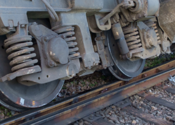 Belagavi Mini Zoo to welcome new tigress 