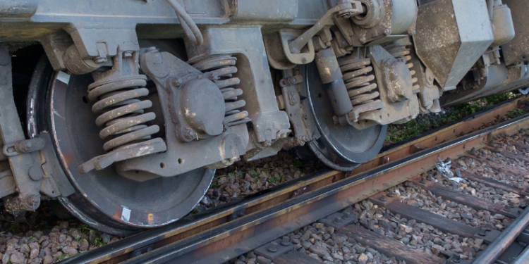 Belagavi Mini Zoo to welcome new tigress