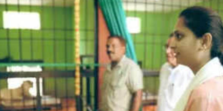 MP Priyanka Jarkiholi releases tigress and lioness released at Channamma Zoo in Belagavi