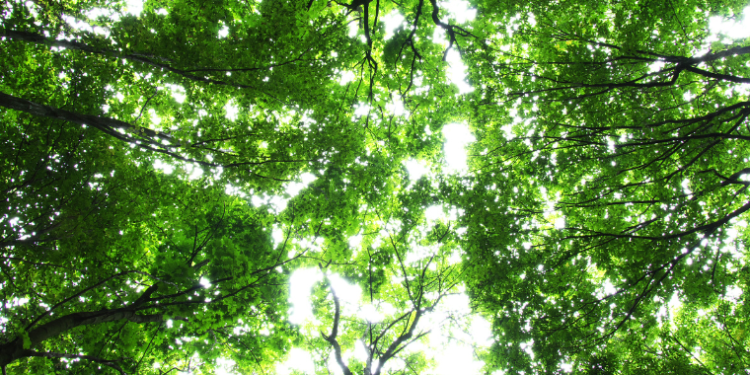 Farm women die in lightning strike while returning home in Belagavi