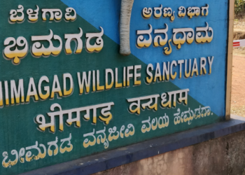 600 Acres Acquired for Belgaum–Dharwad Rail Line; Tender Process Imminent