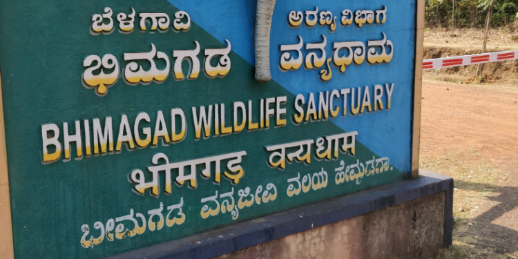 600 Acres Acquired for Belgaum–Dharwad Rail Line; Tender Process Imminent