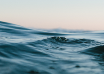 Six Bridge-Cum-Barrages Submerged in Belagavi as Water Release from Maharashtra Rises