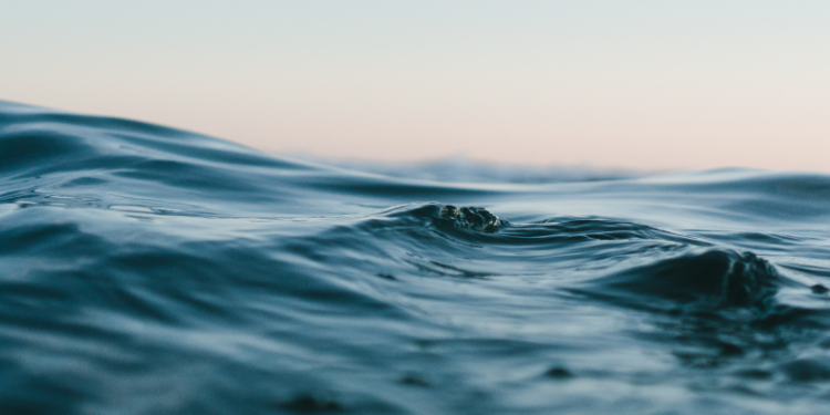 Six Bridge-Cum-Barrages Submerged in Belagavi as Water Release from Maharashtra Rises