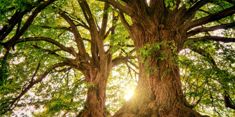 ₹300 crore sanctioned for upgrading Belagavi–Bagalkot link road