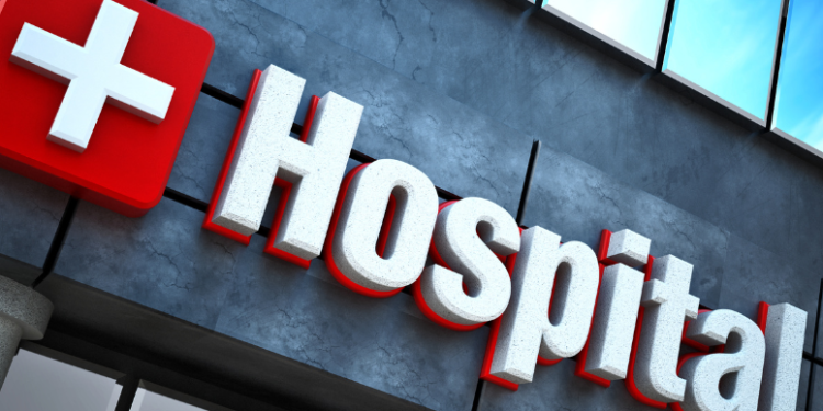 Belagavi DC cancels dog sterilisation centre plan after protests