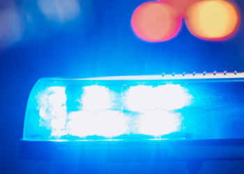 Bull Show Steal the Spotlight at Jolle Group’s Grand Event