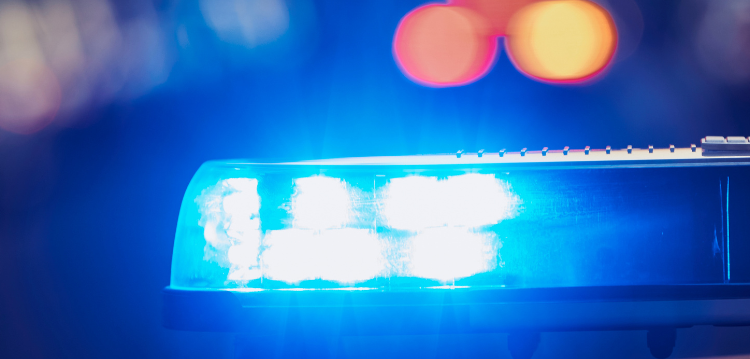 Bull Show Steal the Spotlight at Jolle Group’s Grand Event