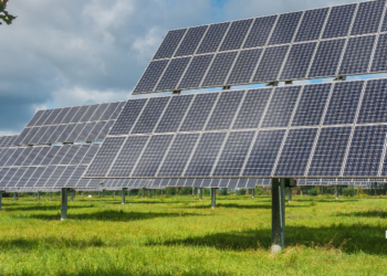 Belagavi sub-registrar offices add weekend hours for public convenience starting June 1