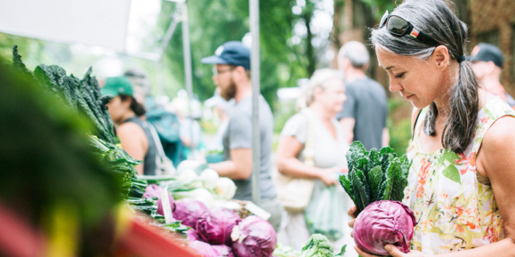 Massive Anti-Drug Rally Held in Belagavi by JITO and FDA