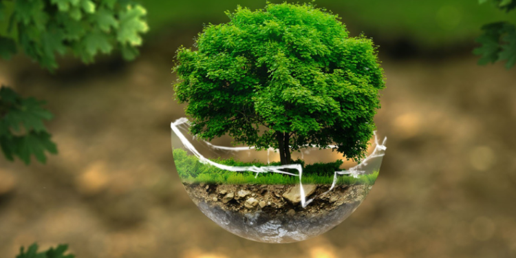 Satish Jarkiholi updates on 42 NH projects: 27 completed, Chorla highway awaiting approval