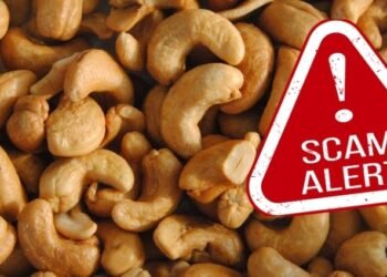 Belagavi traffic to resume as rainfall declines; Almatti dam discharge reduced