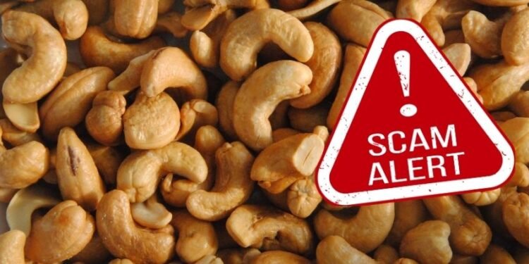 Belagavi traffic to resume as rainfall declines; Almatti dam discharge reduced