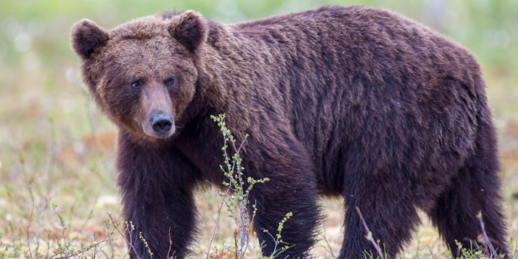 Unauthorized individual found operating as a sub-registrar inside DC office premises