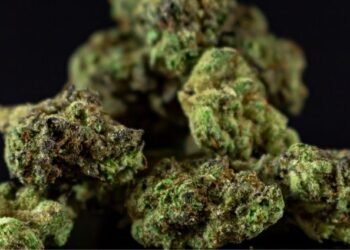 L&T clarifies road restoration steps after pipeline works in Belagavi