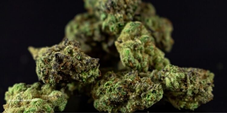 L&T clarifies road restoration steps after pipeline works in Belagavi