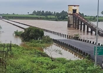 Belagavi stray dog sterilization drive stuck; Supreme Court limits feeding to designated zones