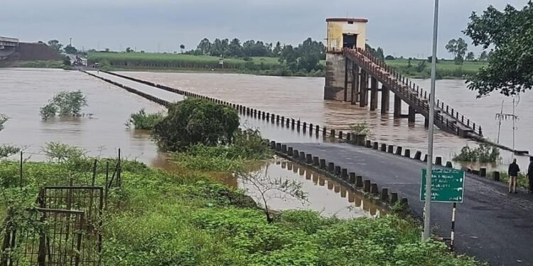 Belagavi stray dog sterilization drive stuck; Supreme Court limits feeding to designated zones