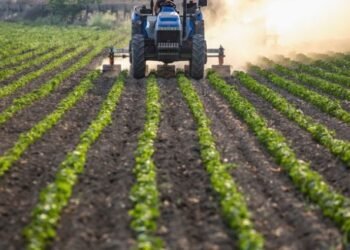 Belagavi geology officer arrested by Lokayukta for accepting bribe