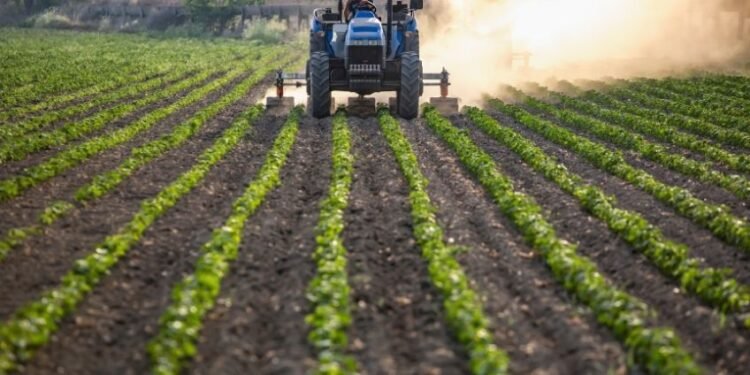 Belagavi geology officer arrested by Lokayukta for accepting bribe