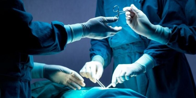 Belagavi DC’s Mahaprasad remark sparks row, BJP faces backlash