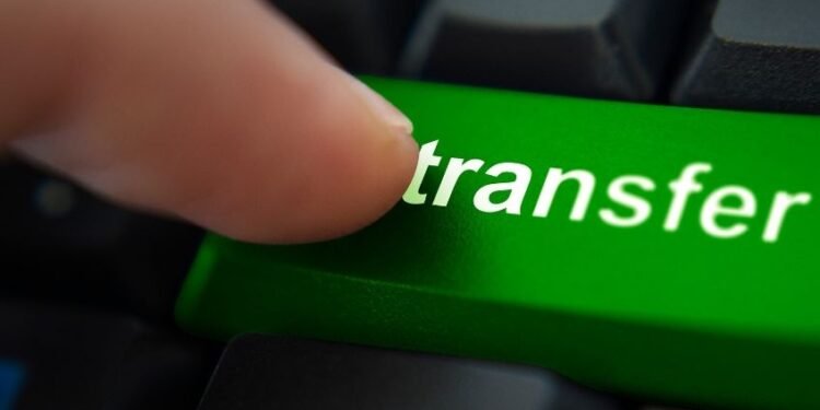 Out of 59 sanctioned posts, only 24 staff on duty in Khanapur vet clinics