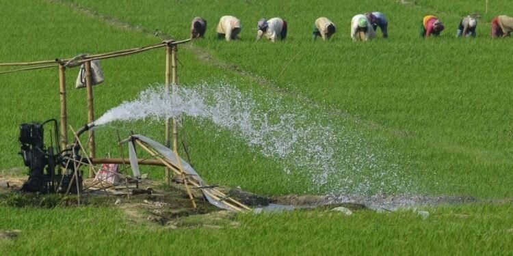 Out of 59 sanctioned posts, only 24 staff on duty in Khanapur vet clinics