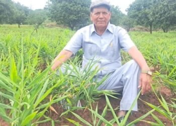 Belagavi’s 80-year-old farmer finds peace in organic farming, earns ₹6 lakh a year