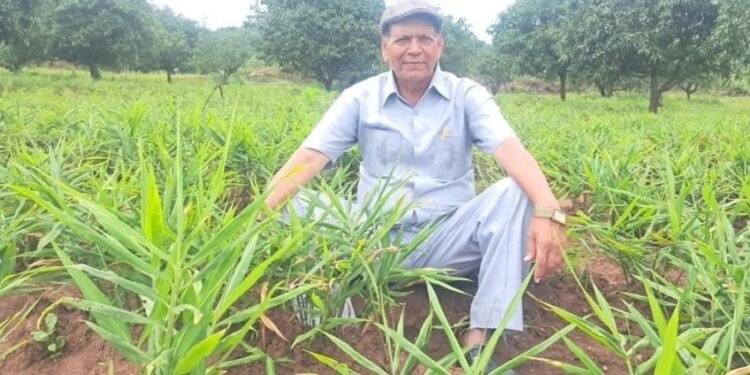 Belagavi’s 80-year-old farmer finds peace in organic farming, earns ₹6 lakh a year