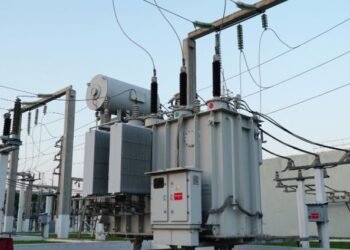 Panchayat officers protest in Belagavi seeking justice for attacked PDO