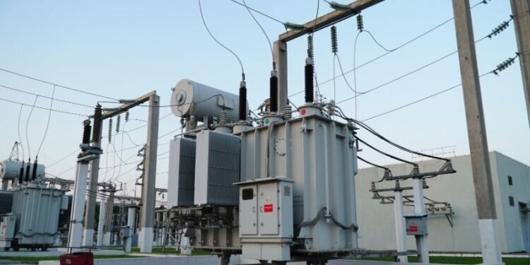 Panchayat officers protest in Belagavi seeking justice for attacked PDO