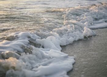 Belagavi’s 80-year-old farmer finds peace in organic farming, earns ₹6 lakh a year