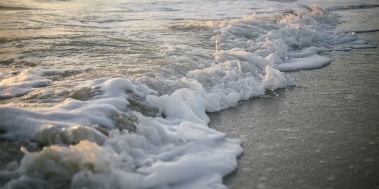 Belagavi’s 80-year-old farmer finds peace in organic farming, earns ₹6 lakh a year