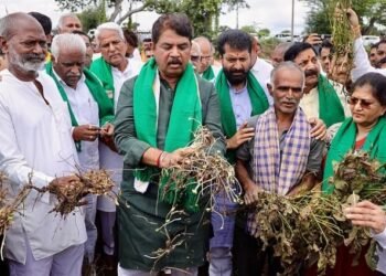 Belagavi’s 80-year-old farmer finds peace in organic farming, earns ₹6 lakh a year