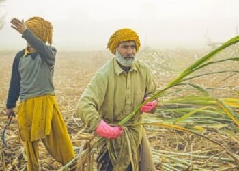 48-hour liquor ban announced in Belagavi for Rajyotsava celebrations on October 31 and November 1