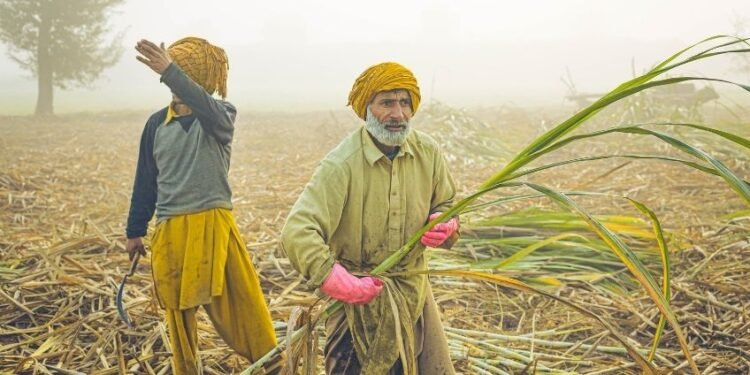 48-hour liquor ban announced in Belagavi for Rajyotsava celebrations on October 31 and November 1