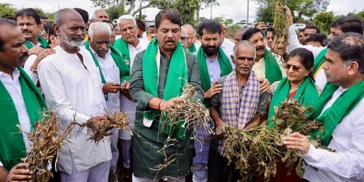 Belagavi’s 80-year-old farmer finds peace in organic farming, earns ₹6 lakh a year