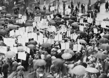 22-year-old Belagavi girl succumbs to injuries after stray dog-related accident