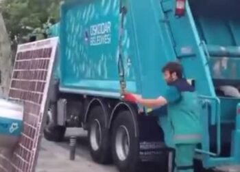 22-year-old Belagavi girl succumbs to injuries after stray dog-related accident