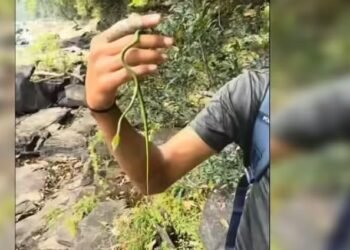 Karnataka Congress stages Belagavi protest against Centre on National Herald, MGNREGA