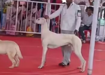 New ‘Locked House Beat System’ Launched by Belagavi Police to Prevent Burglaries