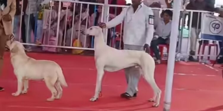 New ‘Locked House Beat System’ Launched by Belagavi Police to Prevent Burglaries