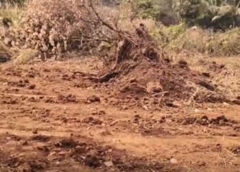 Prime accused nabbed in sensational ₹400 crore Belagavi robbery