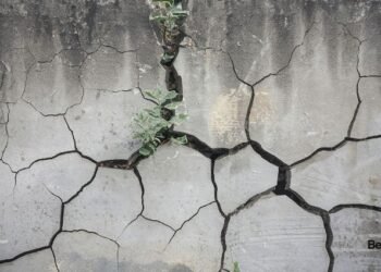 Unseasonal storm turns fatal in Belagavi, woman loses life