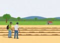 Two arrested in Hukkeri for theft of farm pump sets and cables